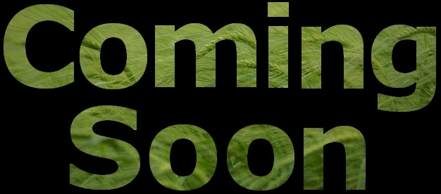 Coming Soon Green Logo